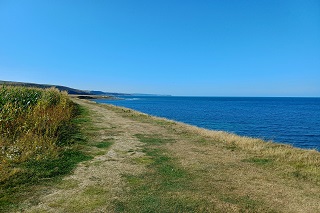 Aberaeron